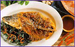 Fish in Mustard Sauce